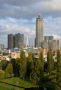 Ein abendlicher Blick über Rotterdam