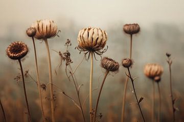 Stilleben mit Trockenblumen im Freien von Carla Van Iersel