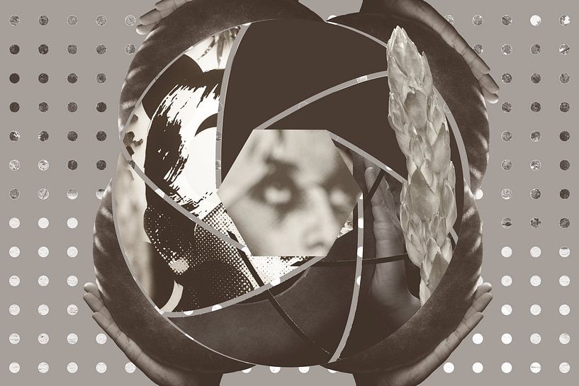 Overgrown by True Color Stories