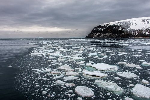 Cape Hallett - Antarctica