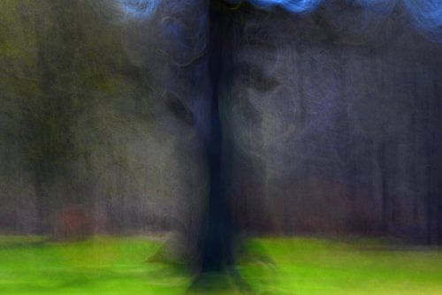 SPROOKJESBOS 15 van Miroslav Ptacek