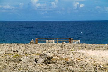 Nationaal park Shete Boka op Curacao. van rene marcel originals