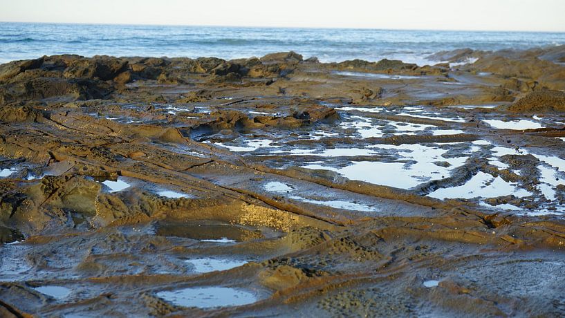 rock pools at sunset by Wendy Grace