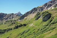 Sentier de montagne