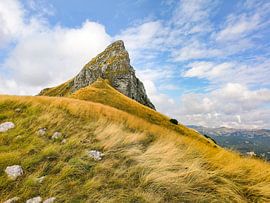 Une nature sauvage intacte, des forêts anciennes et des paysages de montagne impressionnants : Le parc national de Sutjeska présente la nature de Bosnie sous son aspect le plus authentique et le plus spectaculaire. sur Miriam Schwarzfischer Fotografie