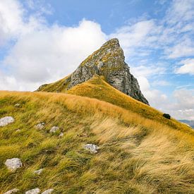 Une nature sauvage intacte, des forêts anciennes et des paysages de montagne impressionnants : Le parc national de Sutjeska présente la nature de Bosnie sous son aspect le plus authentique et le plus spectaculaire. sur Miriam Schwarzfischer Fotografie