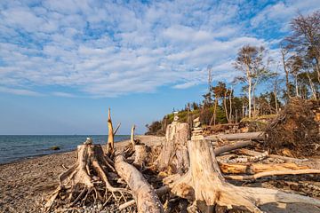 Strand aan de kust van de Oostzee bij Graal Müritz van Rico Ködder