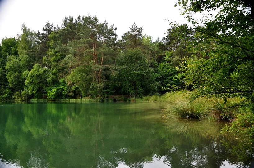 meertje in het dwingelerveld by Marten Wieringa
