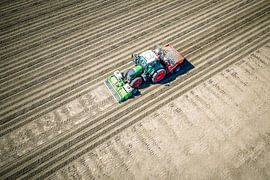 Tractor planting potato seeldings in the soil during springtime by Sjoerd van der Wal Photography