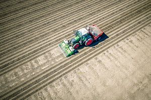 Ein Traktor pflanzt im Frühling Kartoffelsetzlinge in den Boden