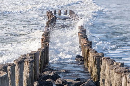 Golfbrekers bij Westkapelle / Nederland