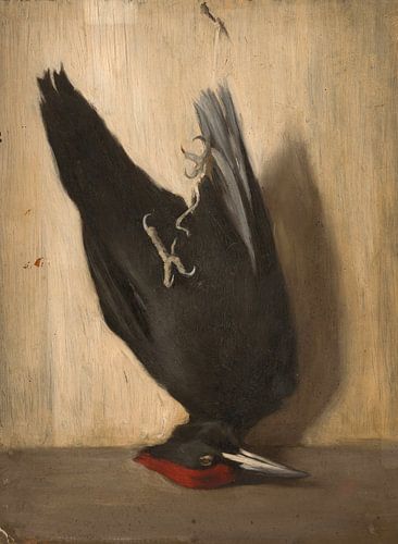 Palokärki, 1850 - 1869, Severin Falkman