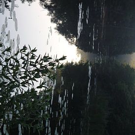 Verstild water bij het ochtendgloren by Natasja van Dwingelen