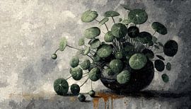Pilea à feuilles rondes sur Sabine Wagner