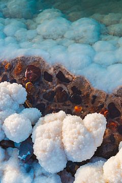 Dead Sea by Jacqueline Heithoff