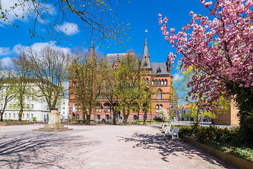 Das Ständehaus in der Hansestadt Rostock im Frühling