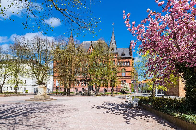 Das Ständehaus in der Hansestadt Rostock im Frühling von Rico Ködder