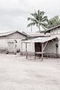 Street scene in Africa | Benin by Photolovers reisfotografie thumbnail
