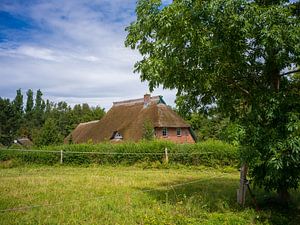 Reetgedecktes Haus an der Ostseeküste