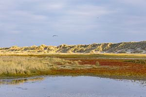 Abendrot über den Dünen von Ameland