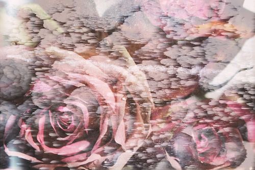 Abstracte fotografie | Shabby Chic | Modern abstract | Bevroren roze rozen in verstilde tijd