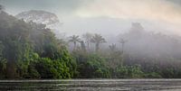 Surinamerivier bij Awaradam in de mist tijdens zonsopgang.