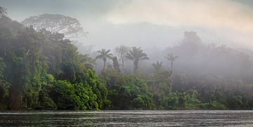 Rivière Suriname à Awaradam dans le brouillard au lever du soleil. sur René Holtslag