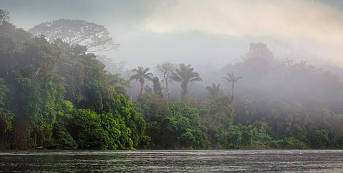 Rivière Suriname à Awaradam dans le brouillard au lever du soleil.