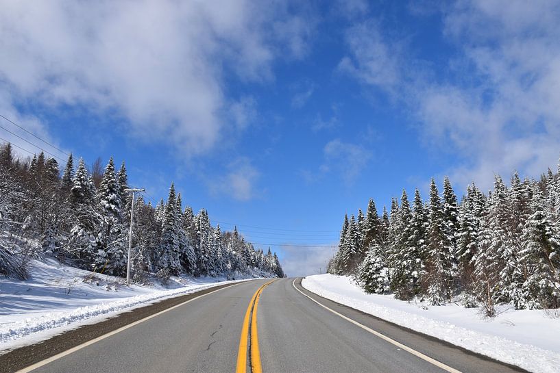 Een plattelandsweg in de lente van Claude Laprise