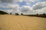 De zand duinen en de heide tijdens een bewolkte dag van Marco Leeggangers thumbnail