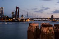 Willemsbrug Rotterdam in de avond van Rouzbeh Tahmassian thumbnail