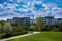 Wonen op het platteland