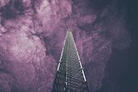 Looking Up 