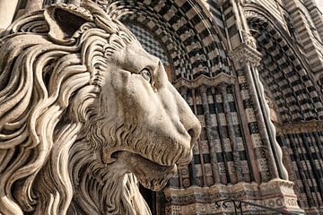 Löwenkopf am Eingang der St. Laurentius-Kathedrale in der italienischen Stadt Genua von gaps photography