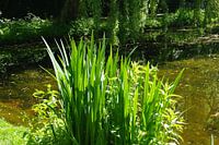 Mooie foto van de natuur.