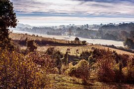 Nijswiller von Rob Boon