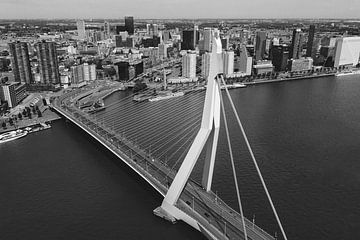 Die Erasmus-Brücke, Rotterdam von Joey van Embden