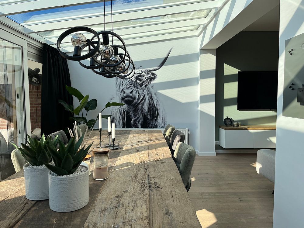 portrait of a highland cow  by Dorit Fuhg 