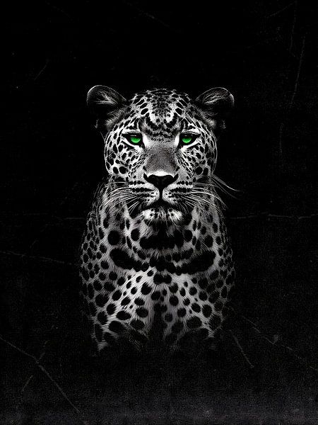 Leopard by Yoga Pranata