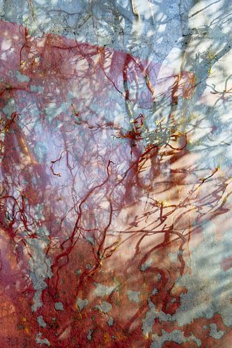 Expansion in red in a touch of blue....