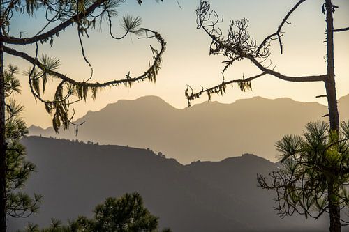 natuurgebied Tamadaba, La Palma
