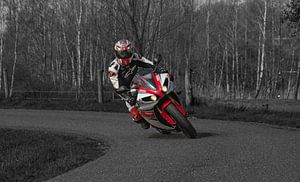 Yamaha YZF_R1 World GP 50. Jubiläumsausgabe 2012