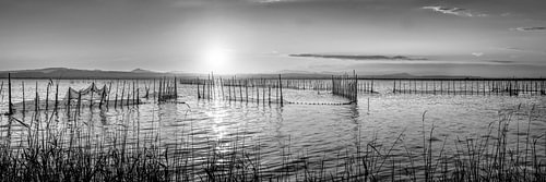 Sonnenuntergang am See in schwarz-weiß