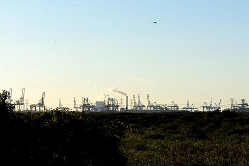 sloegebied bij Vlissingen