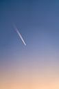 Traces of flying No.1 by mirrorlessphotographer thumbnail