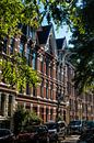 Gevel Blasiusstraat (Amsterdam) van Maxwell Pels thumbnail