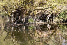 Rathenow „Stadt der Optik“ von David Krause