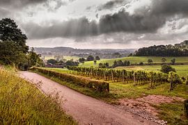 "Dodeman" slope in Stokhem by Rob Boon