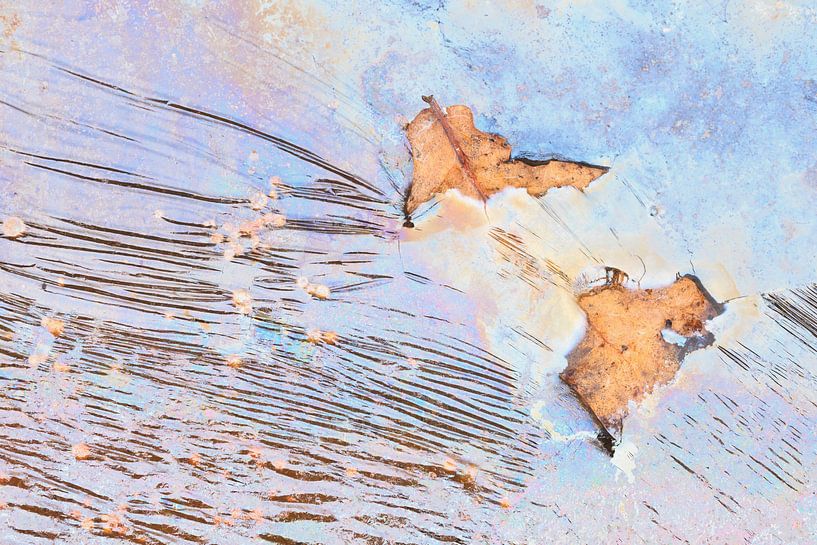 Rimpelingen in pastel met eikenblad von Karla Leeftink
