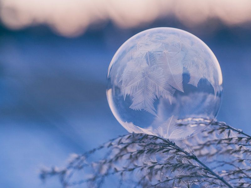 Winter Vibes by Hello Pompoyo